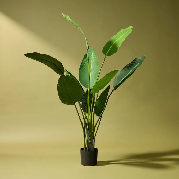 Faux Giant Bird of Paradise Plant | 244cm