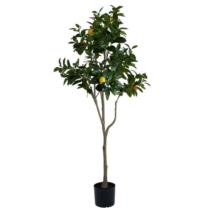 Faux Lemon Tree | 180cm