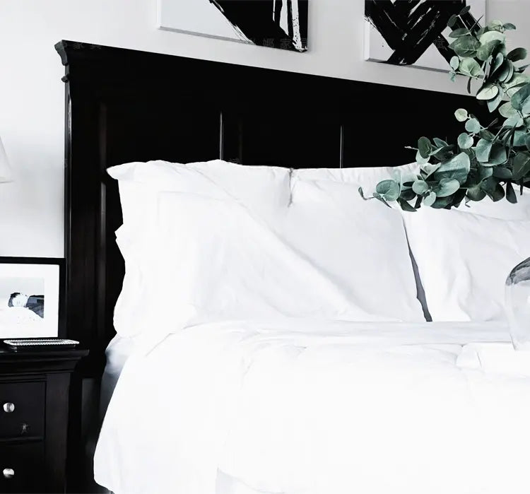 Lyon Black Solid Wood Princess Bed