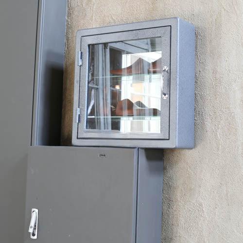 Theirry Dulton Wall-Mounted Metal Glass Storage Cabinet