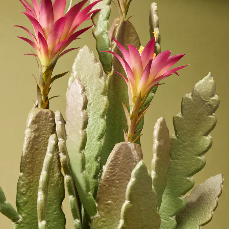 Faux Flowering Cactus - Garden Pot | 79cm