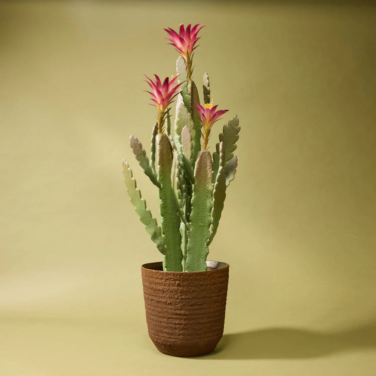Faux Flowering Cactus - Garden Pot | 79cm