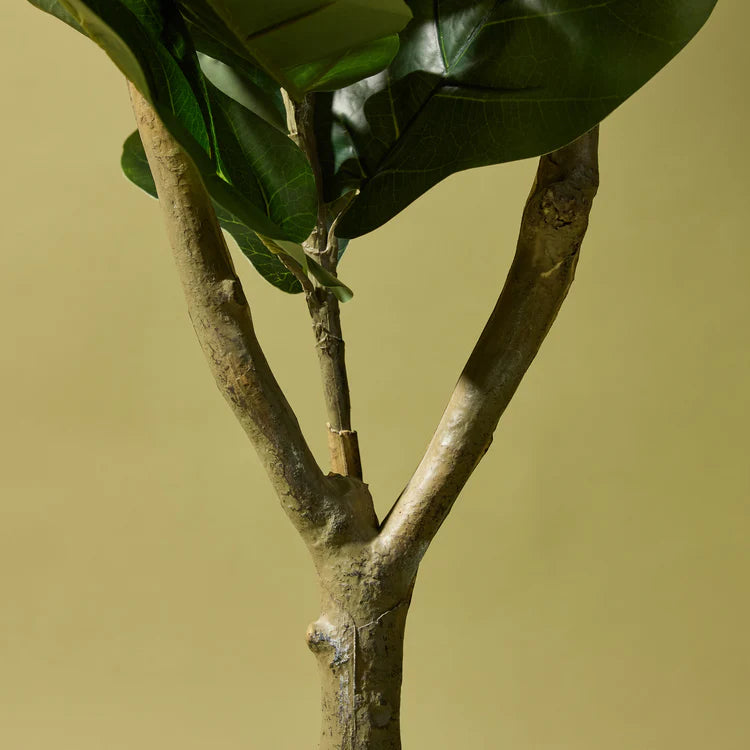 Faux Giant Fiddle Tree | 150cm