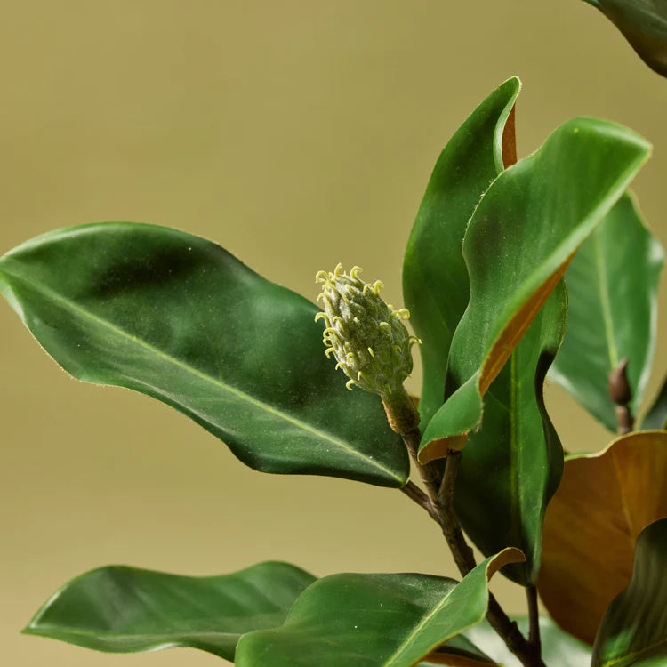 Faux Magnolia Tree | 158cm