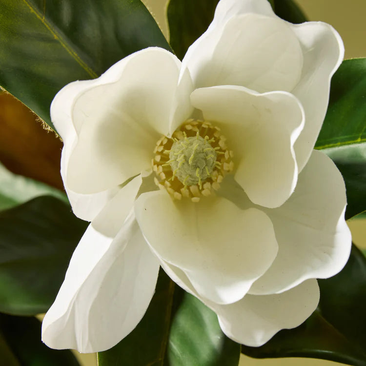 Faux Magnolia Tree | 158cm