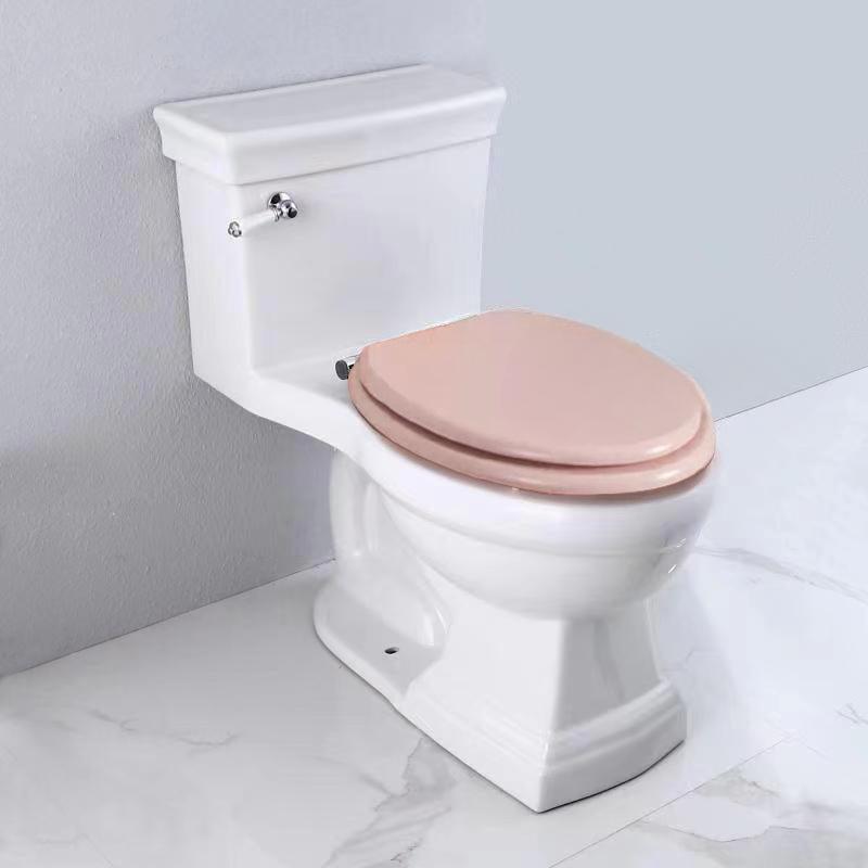 Daniele Retro Siphon One-Piece Toilet, Water-Saving