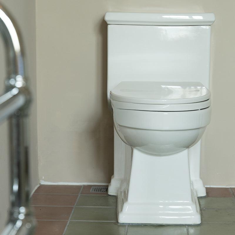 Anna ceramic toilet integrated toilet