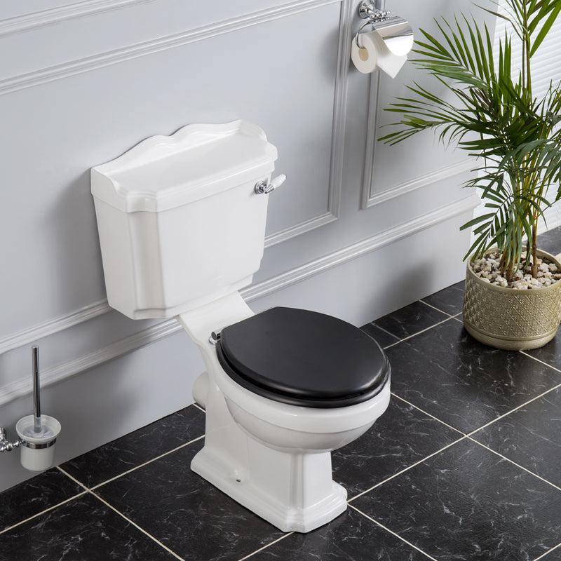 Alice Classic Retro Wall-to-Floor Toilet, Split Design