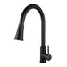 Black Pull Out Kitchen Mixer