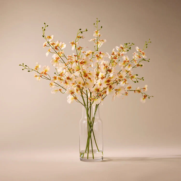 Faux Dancing Orchids - Rachel Vase | Cream - 57cm