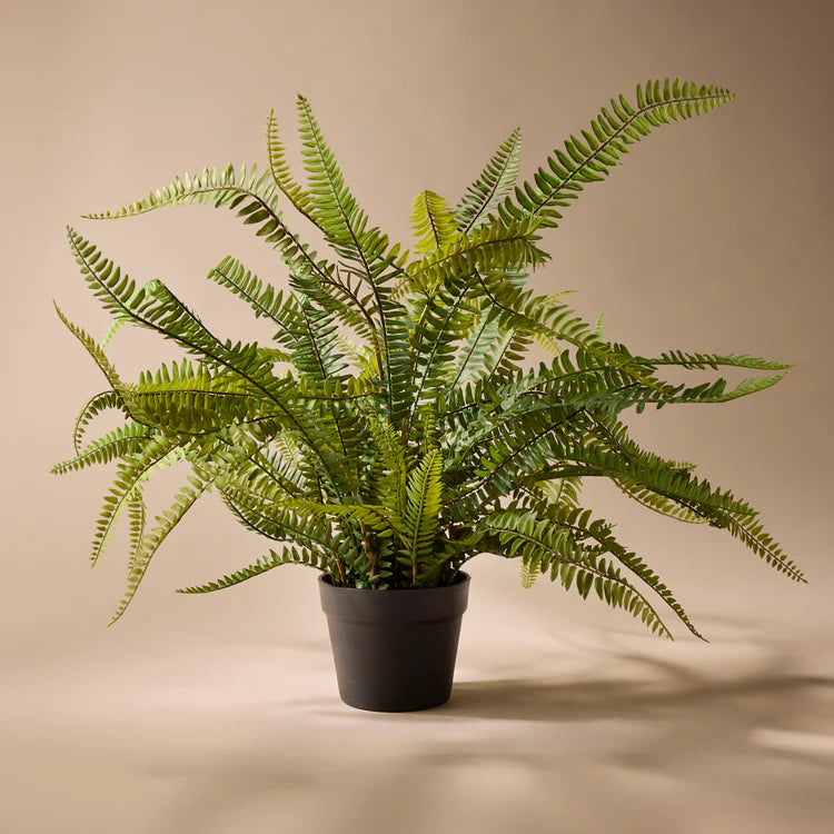 Faux Boston Fern - Garden Pot | 86cm