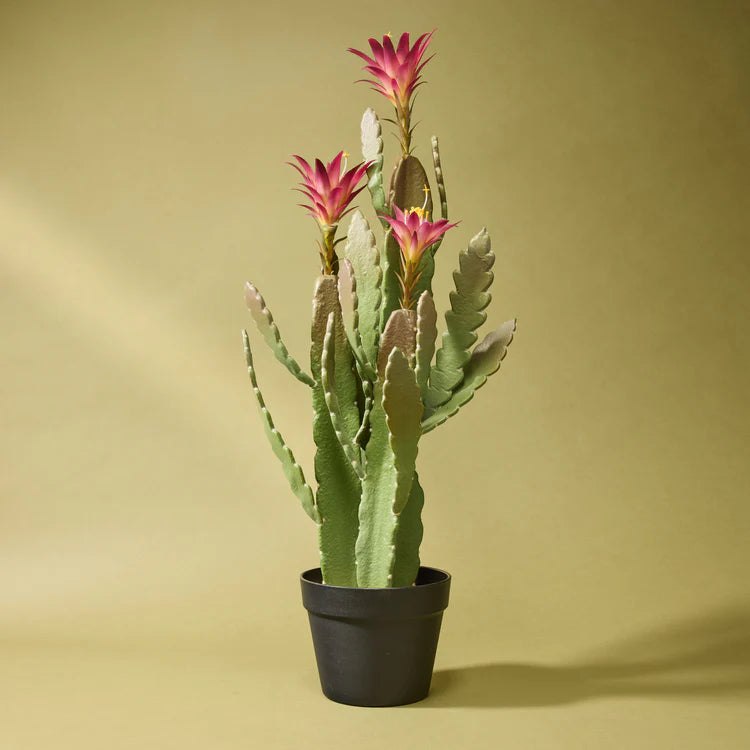 Faux Flowering Cactus - Garden Pot | 79cm