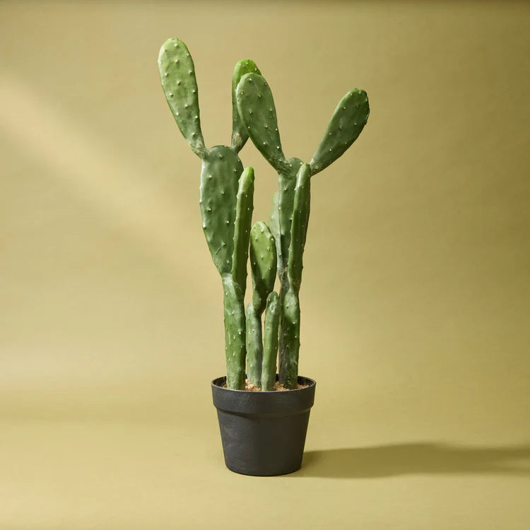 Faux Pear Cactus - Garden Pot | 64cm