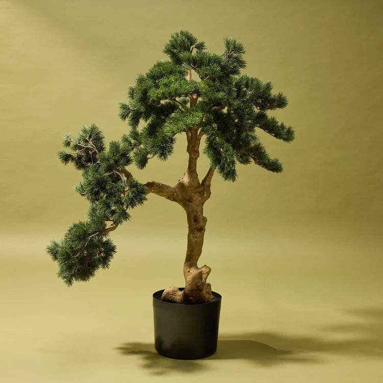 Faux Pine Bonsai Tree - Garden Pot | 100cm