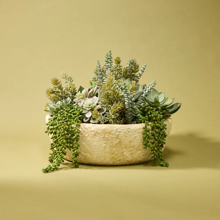 Faux Succulent Garden - Textured Cement Pot | 37cm