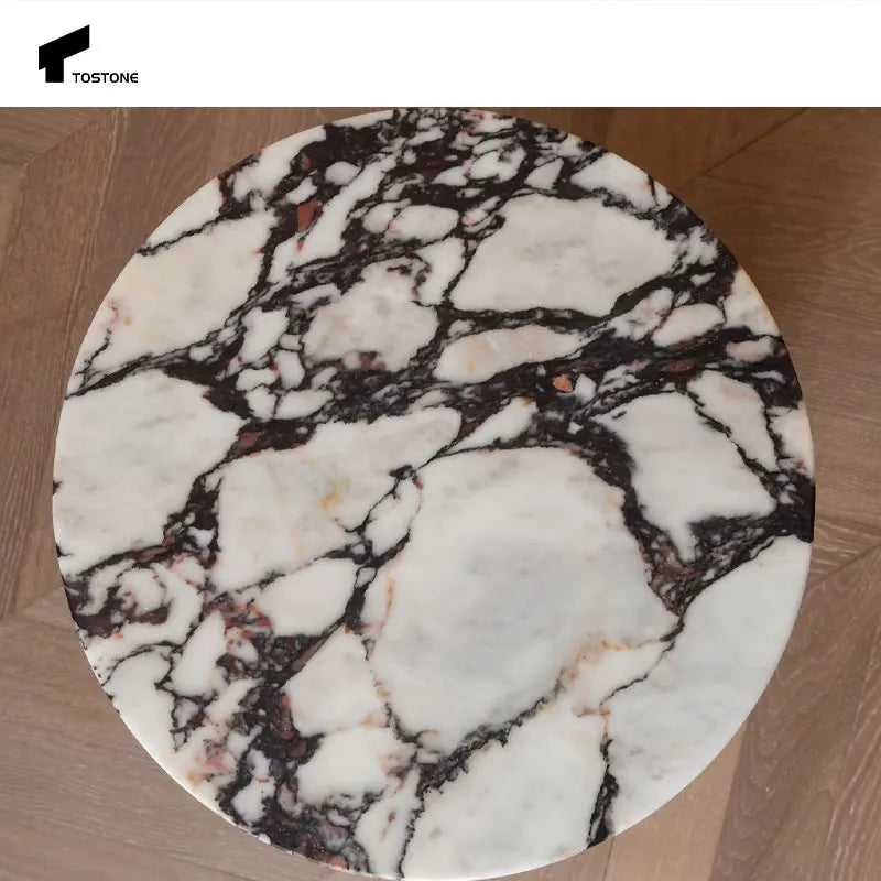Tostone Catacatta Viola Natural Marble Coffee Table for Modern Living Room