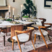 Stylish Oak Wood Curved Back Dining Chair for Cafe, Restaurant & Home
