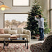 Chic Modern Boucle Sofa, Plush Luxury 3-Seater for Ultimate Living Comfort