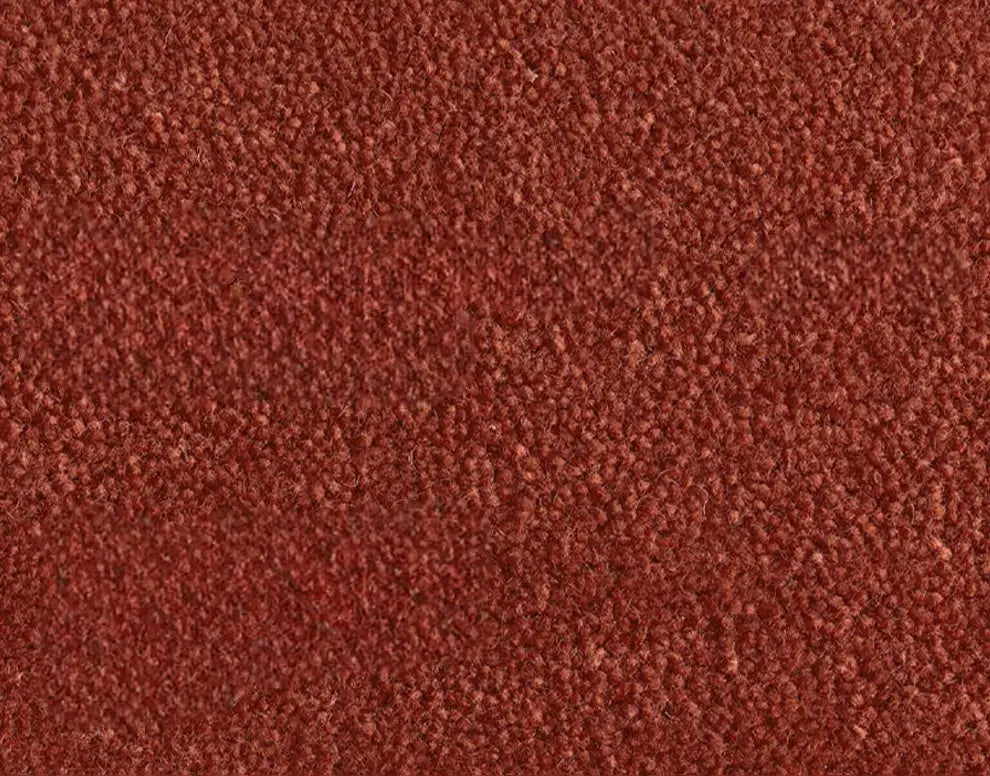 Philomène Special-Shaped High-End Carpet – Elegant Solid Color Design