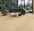 Mireille Commercial Thickened Solid Color Carpet – Durable and Stylish Design