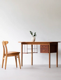 Jules Modern Simple Study Desk and Shelf