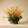 Faux Phalaenopsis Orchid Arrangement - Garden Pot | Black - 105cm