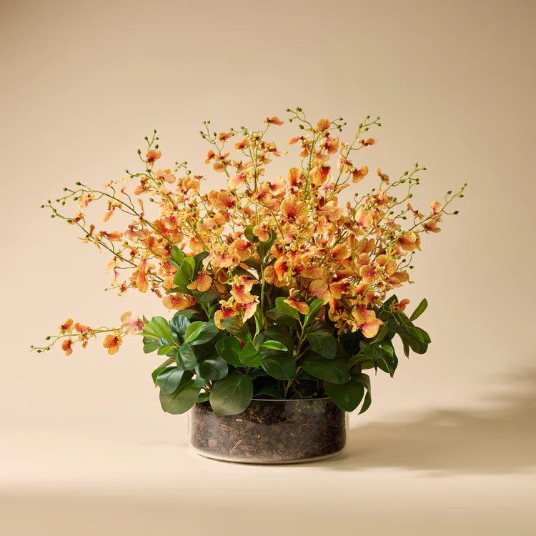 Faux Phalaenopsis Orchid Arrangement - Garden Pot | Black - 105cm