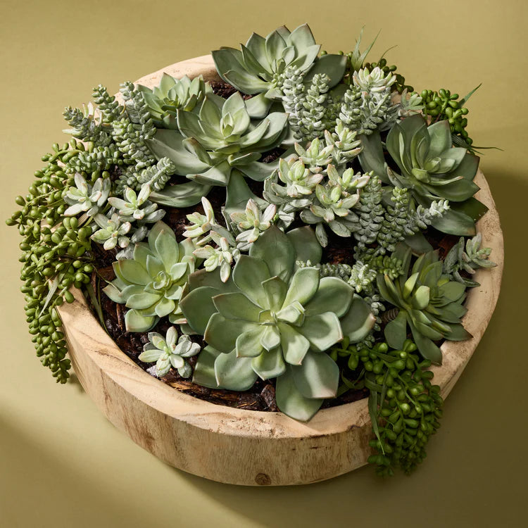 Faux Succulent Garden - Dansk Bowl | 45cm