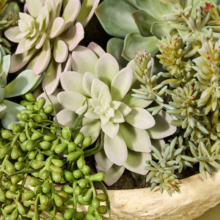 Faux Succulent Garden - Textured Cement Pot | 37cm