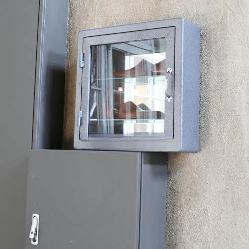 Theirry Dulton Wall-Mounted Metal Glass Storage Cabinet