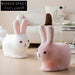 Charming Nordic Velvet Animal Rabbit Kids Stool Chair for Playroom & Living Room