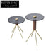 Chic Clear Glass Round Metal Leg Nesting Coffee Side Table Set