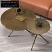 Chic Italian Minimalist Round Petal Metal Design Coffee Table Set