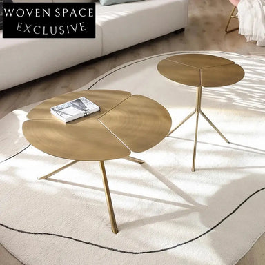 Chic Italian Minimalist Round Petal Metal Design Coffee Table Set