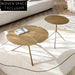 Chic Italian Minimalist Round Petal Metal Design Coffee Table Set