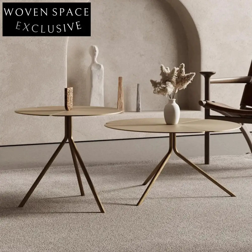 Chic Italian Minimalist Round Petal Metal Design Coffee Table Set