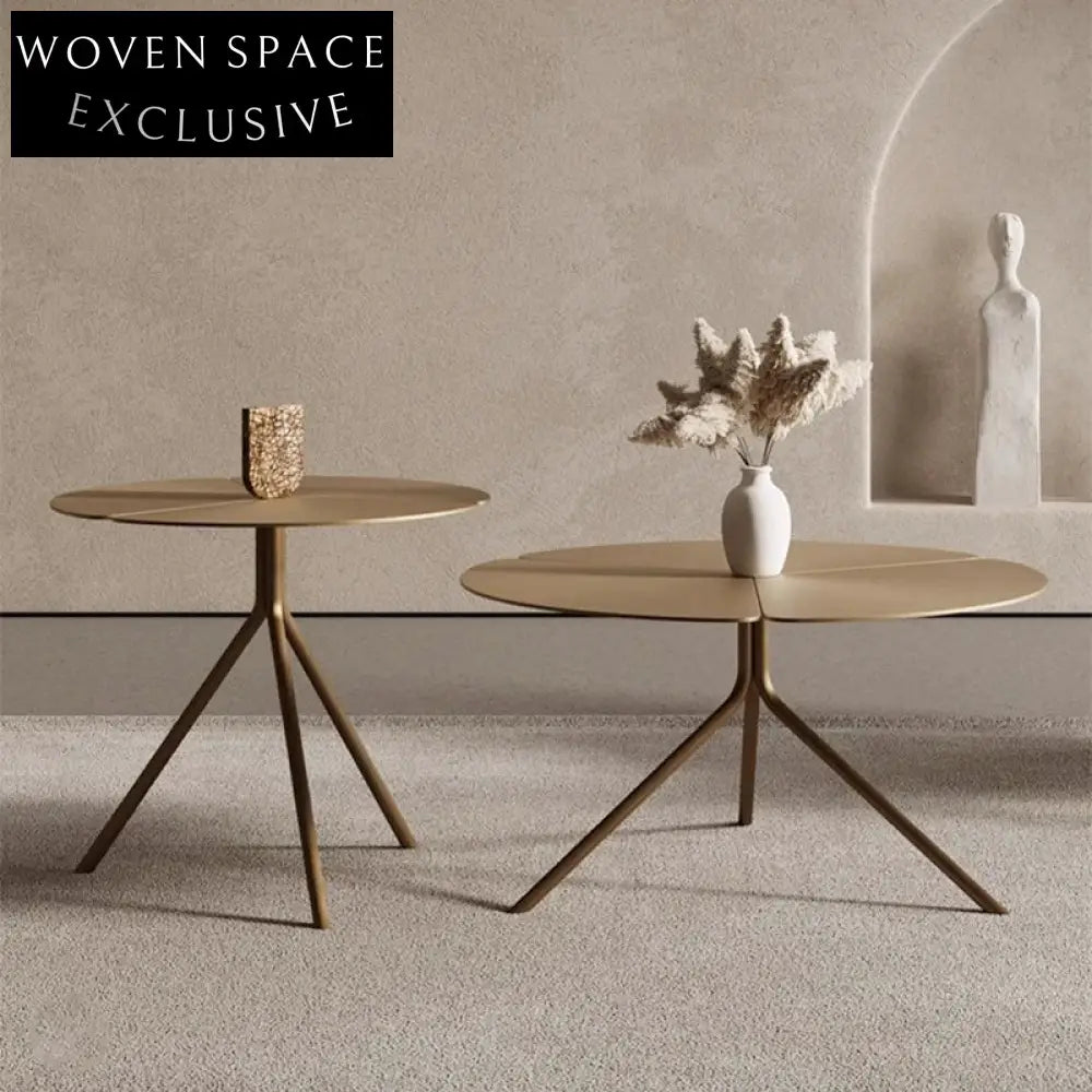 Chic Italian Minimalist Round Petal Metal Design Coffee Table Set