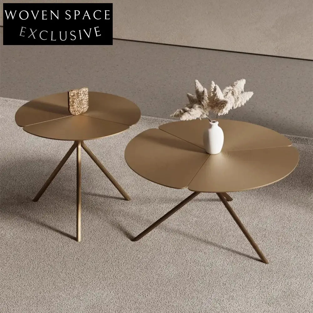 Chic Italian Minimalist Round Petal Metal Design Coffee Table Set