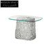 Chic Nordic Transparent Glass Top Coffee Table with Fiberglass Frame for Modern Homes