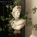 Classical Greek David Head Resin Statue Planter for Elegant Home Decor