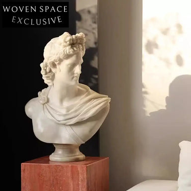 Classical Greek David Head Resin Statue Planter for Elegant Home Decor