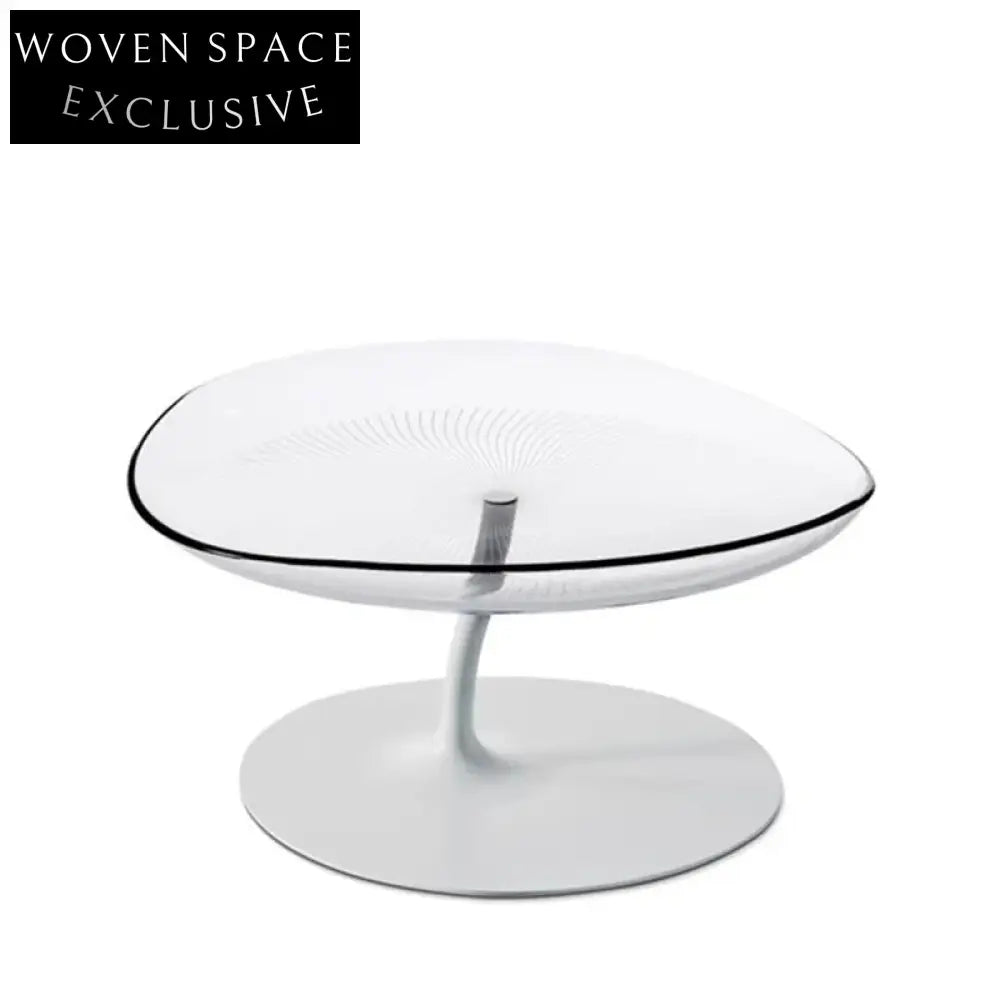 Clear Acrylic Round Side Coffee Table for Modern Homes & Gardens