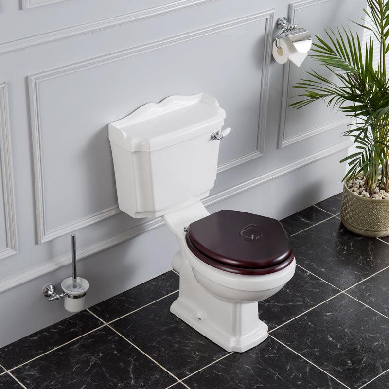 Alice Classic Retro Wall-to-Floor Toilet, Split Design