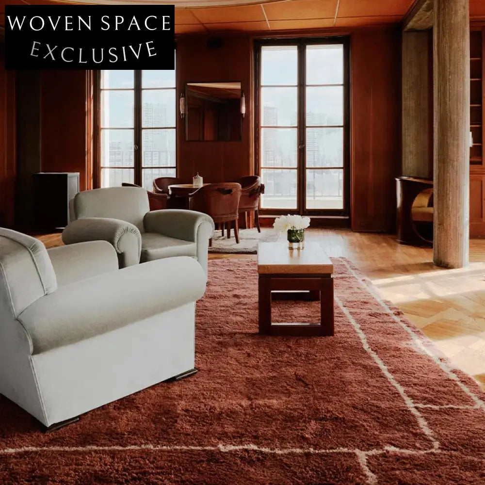 Elegant French Modern Thickened Geometric Pattern Polyester Living Room Area Rug