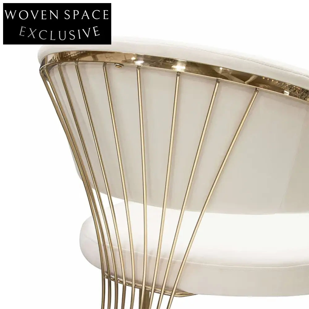 Elegant Modern Stainless Steel Frame Leather Cushion Dining Chair