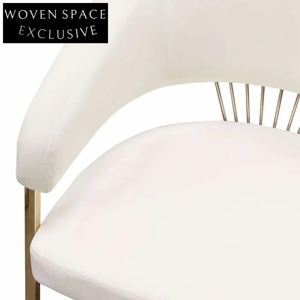 Elegant Modern Stainless Steel Frame Leather Cushion Dining Chair