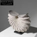 Elegant Resin Conch Shell Sculpture for Modern Home Console Table Decor