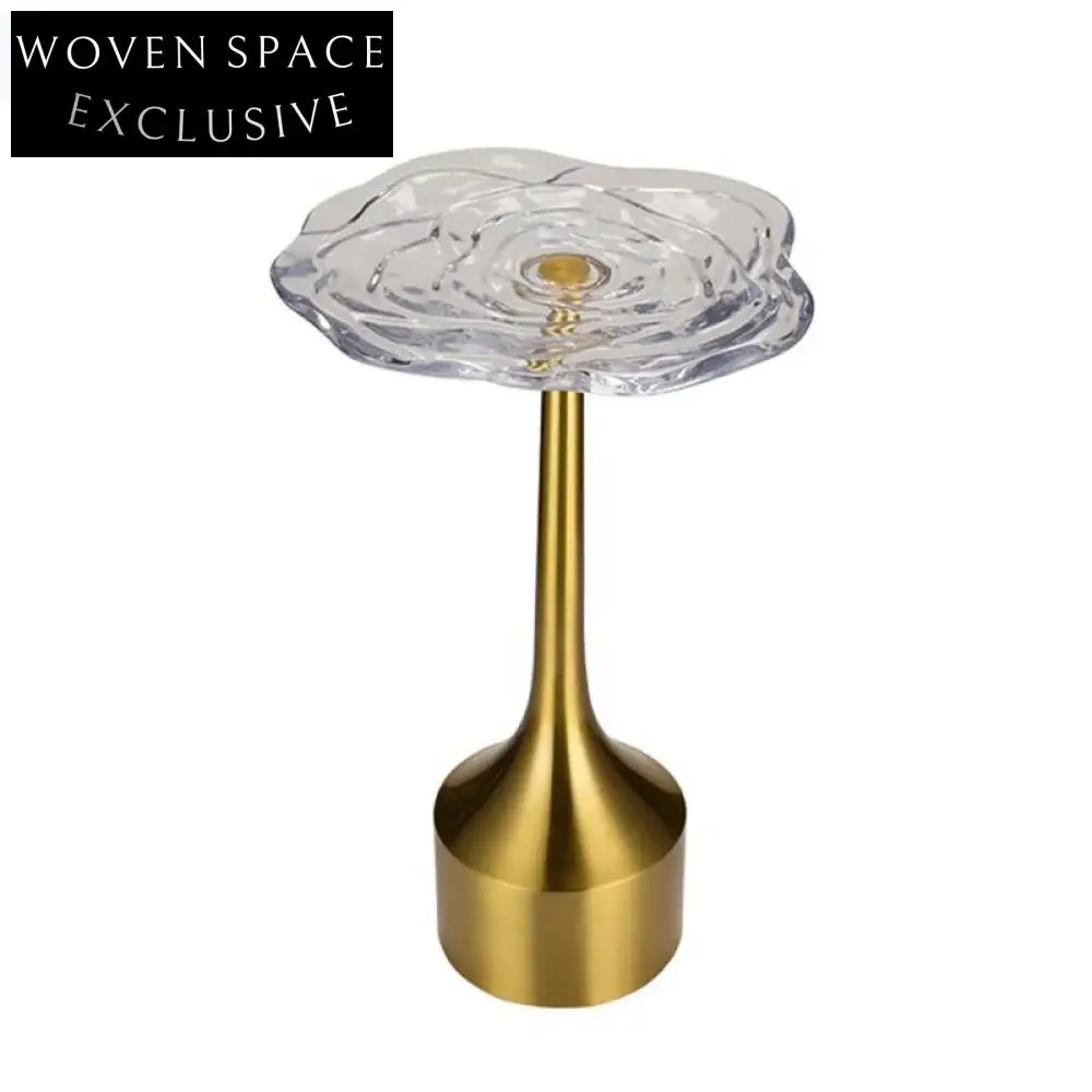 Elegant Rose Acrylic Top Golden Base Small Modern Living Room Coffee Table