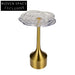 Elegant Rose Acrylic Top Golden Base Small Modern Living Room Coffee Table