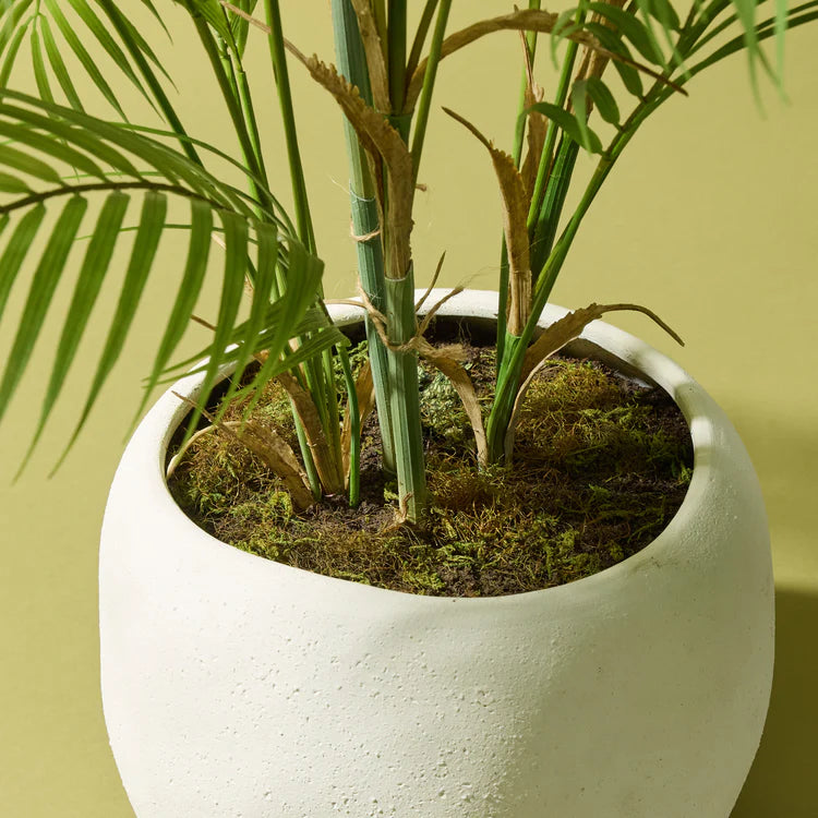 Faux Phoenix Palm - Lyon Organic Planter | White - 110cm